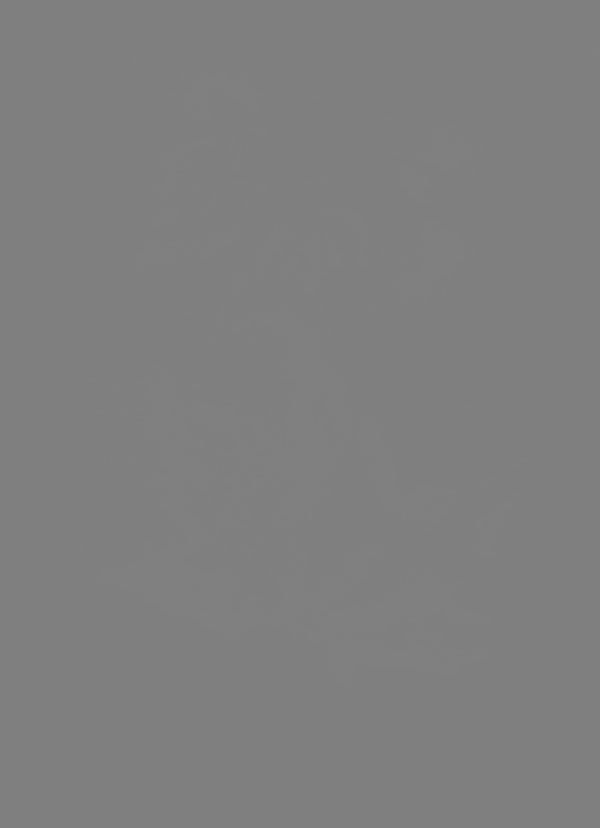 Featureless Grey Photo.